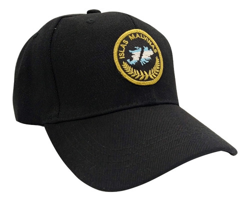 Imagen 5 de 5 de Gorra Islas Malvinas Bordadas Parche Con Copa Tipo F1