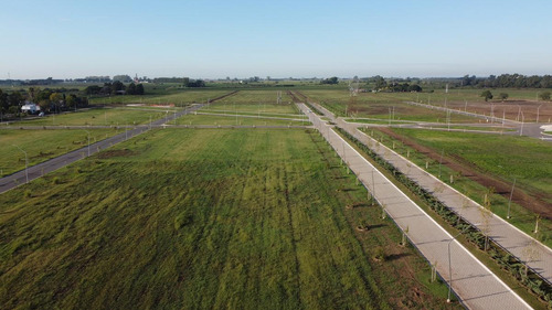 Venta Terreno De 300m2 En Ecotierra, Pueblo Esther