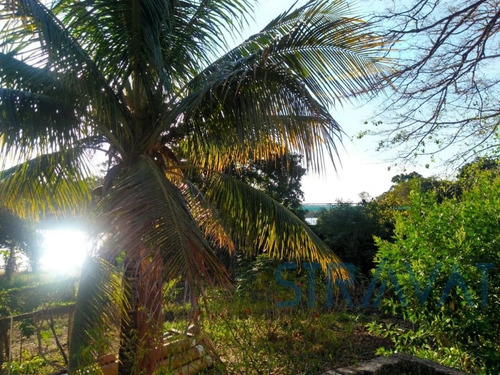 Imagem 7 de 23 de Chacara - Ch00028 - 67802128