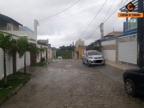 Imagem 13 de 17 de Lote No Picuaia - Te00465 - 69799583