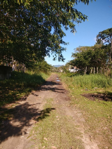 Imagem 2 de 3 de Terreno No Jardim São Francisco Em Peruíbe, Com 364 M² De Área Total