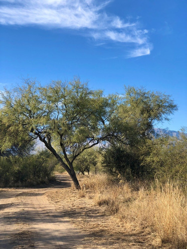 Imagen 22 de 23 de Lote 4553 M2 En Abracaral Reserva Ecológica - Posesion / San Javier - Traslasierra