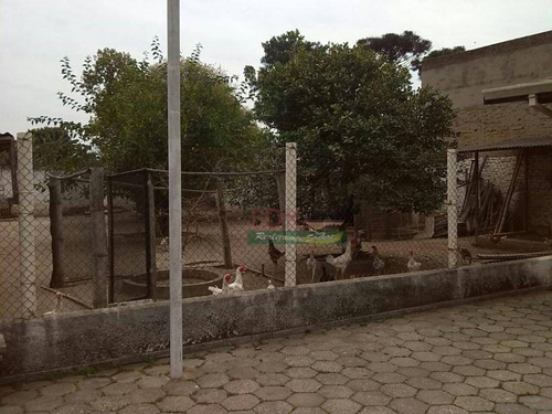 Imagem 24 de 25 de Chácara Residencial À Venda, Parque São Luís, Taubaté. - Ch0038
