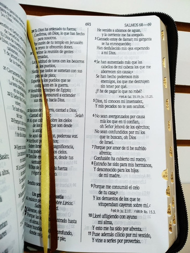 Imagen 6 de 8 de Biblia Rvr1960 Let Gde Imit Piel León Café Cierre Con Índice