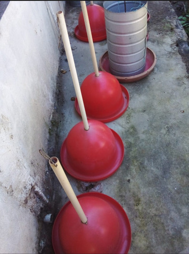 Imagem 2 de 3 de Comedouro E Bebedouro De Galinha