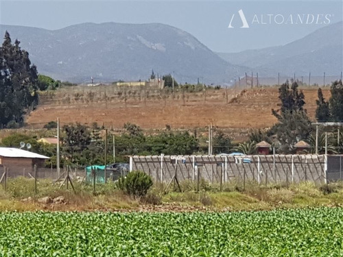 Imagen 12 de 12 de Venta Sitio La Serena Km 16 Valle Del Elqui Borde Ruta 41