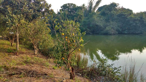 Venta Terreno 5000 M2 Frente Al Estero De Juana Moza Tuxpan Veracruz