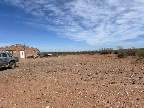 Venta Campo, Terreno, Senillosa, Confluencia, Neuquén, Añelo, Vaca Muerta, Ruta 22, Parque Industrial, Patagonia