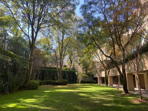 Imagen 3 de 15 de Departamento En Venta En Lomas Altas