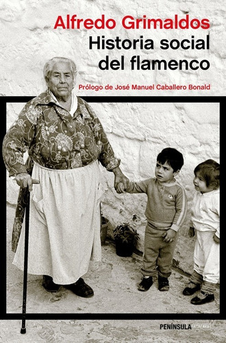 Libro Historia Social Del Flamenco - Grimaldos, Alfredo