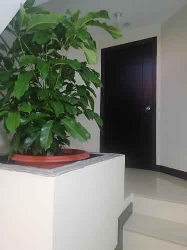 Imagen 2 de 11 de Cómoda Suite Para Estudiante, O Profesional .