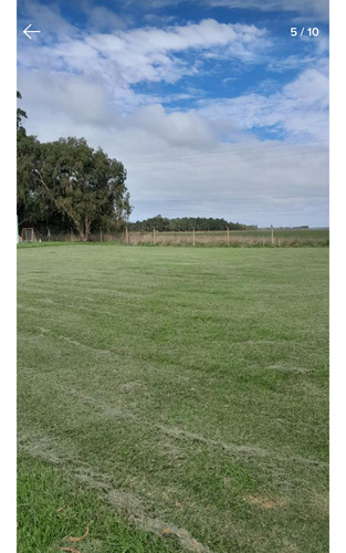 Permuta Venta Lote De Terreno Mar Chiquita Mar Del Plata Country Costa Del Sol Permuto