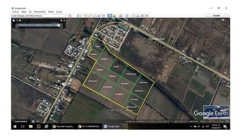 Imagen 4 de 17 de Fincas - Cuadro Benegas