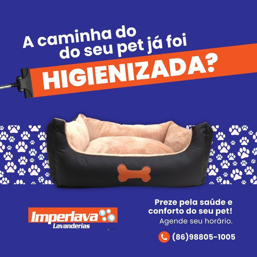 A Melhor Lavagem E Higienização Em Sofás, Colchões E Tapetes