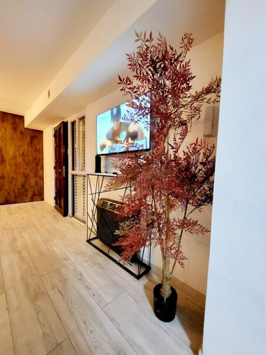 Imagen 8 de 28 de Alquiler Temporal Zona Güemes- Centro Para 4 Personas Pet Friendly