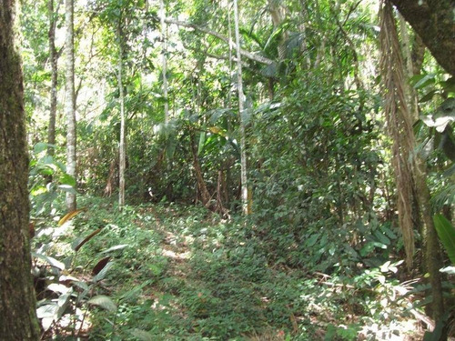 Imagem 19 de 29 de Chácara Residencial À Venda, Taquarí, São José Dos Campos. - Ch0053