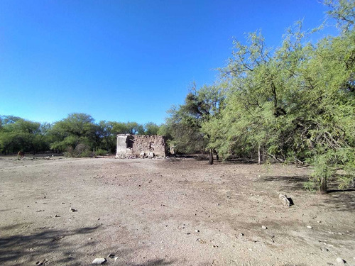 Hectárea Única Cercana Al Pueblo