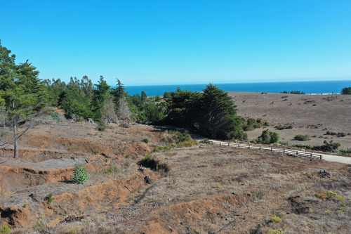 Mar Y Bosque Sobre Punta De Lobos