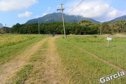 Imagem 4 de 4 de Terreno A Venda Em Peruíbe - 6062 - 69588783