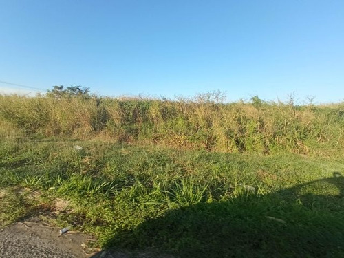 Imagen 12 de 14 de Leida Falcon Rentahouse Vende Terreno En Castillito San Diego 22-6714 Lf