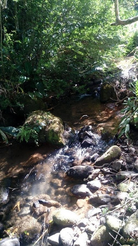 Imagem 14 de 15 de Sítio Para Venda Em Nova Friburgo, Macaé De Cima - 164_2-1193147