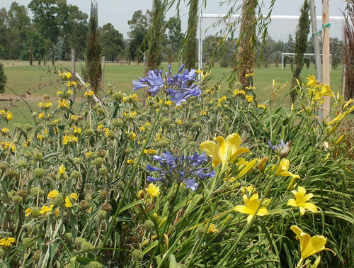 Lote Con Fondo A La Laguna En Club De Campo Santa Rita. Canning-san Vicente.
