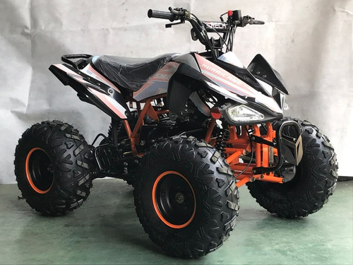 Imagen 11 de 15 de Cuatrimoto 125cc