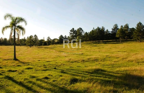 Terreno Em Vila Nova - Mf20888