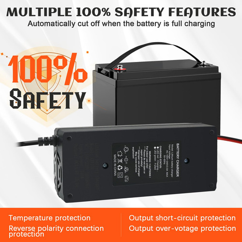 Cargador De Batería Lifepo4 14.6v 10a Con Protección Integra