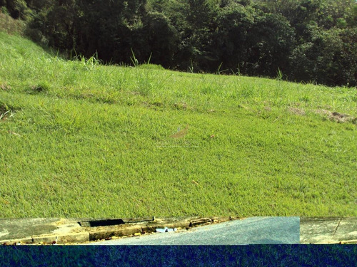 Imagem 6 de 6 de Terreno Residencial À Venda, Condomínio Fazenda Vila Real, Itu. - Te0169