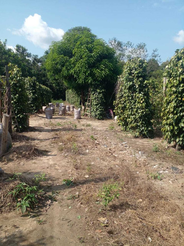 Imagem 10 de 14 de Vende-se Fazenda De 51 Alqueires Titulada