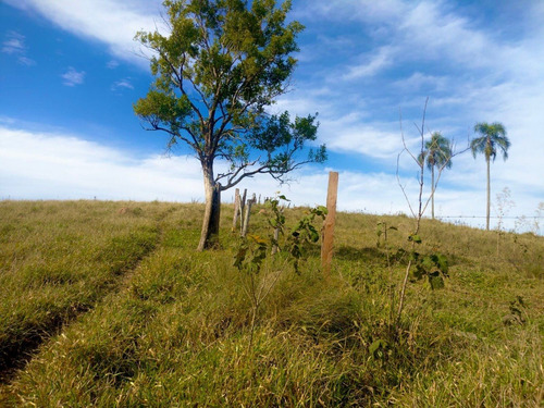 Imagem 4 de 30 de A23d-terreno Com Ótima Vista Para À Natureza