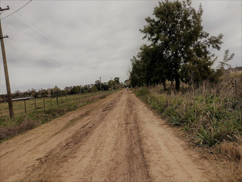 Imagen 4 de 9 de Venta De Fraccion 3.5 Ha San Andrés De Giles - Cucullu