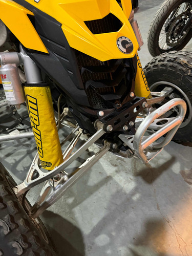 Can-am Ds