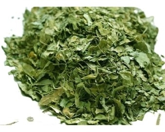 Moringa Oleifera X 500 Gr India Nuevo Ingreso