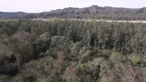Campo En Venta De 6300 Has En San Ramon De La Nueva Oran