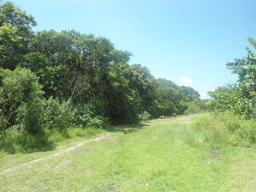 Imagem 1 de 2 de Terreno - Venda - Coronel - Itanhaem - Ita2718
