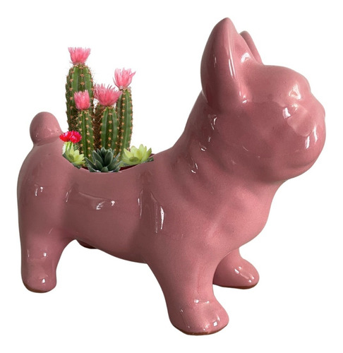 Maceta Perro Bulldog Minimalista Rosa Mascota Jardín 