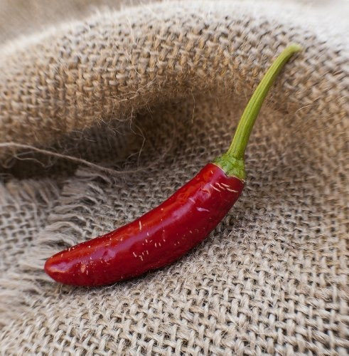 Serrano Heirloom Chili Pepper Premium Seed Packet Mas