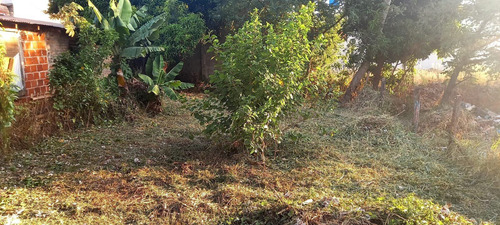 Imagen 3 de 8 de Terreno En Venta