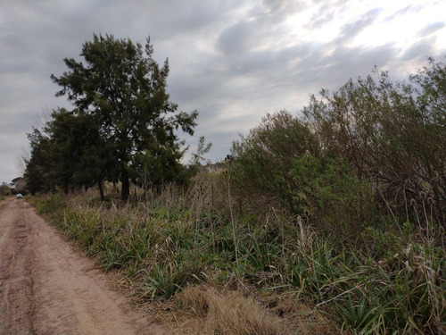 Imagen 3 de 9 de Venta De Fraccion 3.5 Ha San Andrés De Giles - Cucullu