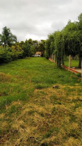Imagen 6 de 10 de Venta - San Jose - Er - Amplio Lote 600 M2