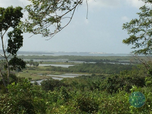 Imagem 5 de 7 de (10244) Terreno Em Tibau Do Sul - V-10244