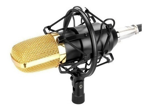 Micrófono Fifine F-800 condensador  cardioide negro/dorado