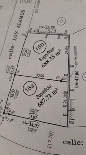 Imagen 1 de 1 de Lotes De 688m2 En Los Alamos Y Los Eucaliptos