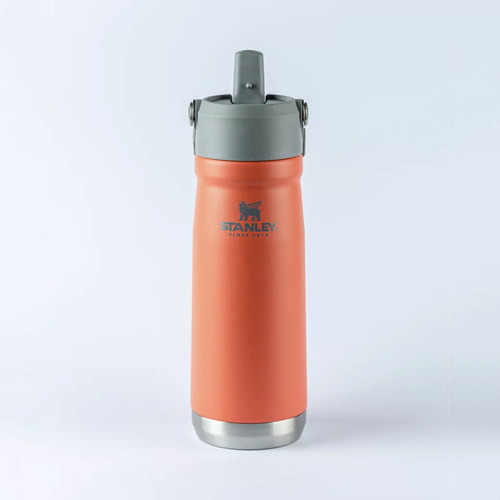 Garrafa Térmica Stanley Flip Straw Guava 651ml