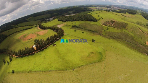 Imagem 8 de 15 de Fazenda - Zona Rural - Ref: 4755 - V-mta4755
