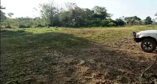 Tierras Privadas En Cojedes, Aptas Para La Cría De Búfalo. Vegas.