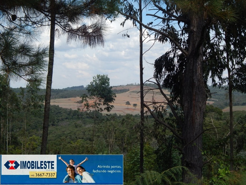 Imagem 2 de 12 de Área Para Venda - 10330.1860