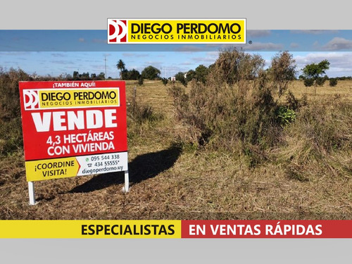 Chacra De 4,3 Has Ruta Nº 1, Km 57 En Venta